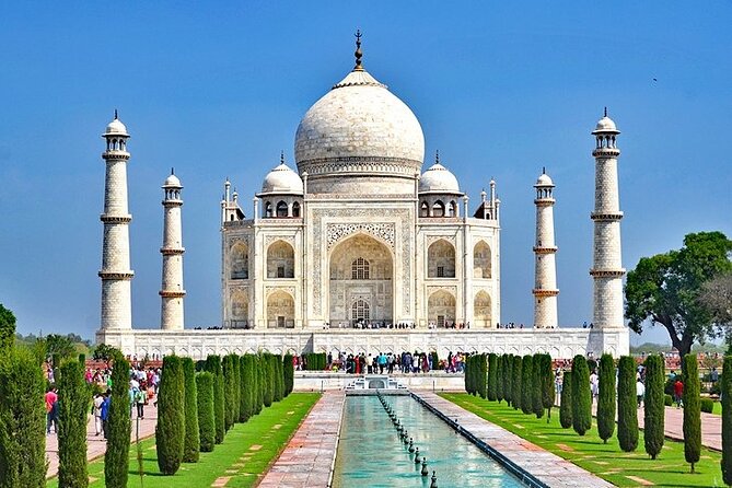 5 Day Private Tour of Tigers, Taj Mahal and Palaces from Cochin - Who should book this fast-moving India trip?