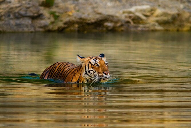 5 Day Private Tour of Tigers, Taj Mahal and Palaces from Cochin - Day 2: Delhi’s tombs, towers, temples, and grand avenues