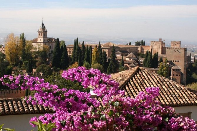 Alhambra &Charles Palace Guided Tour with Optional Nasrid Palaces - Price and value at about $24.02