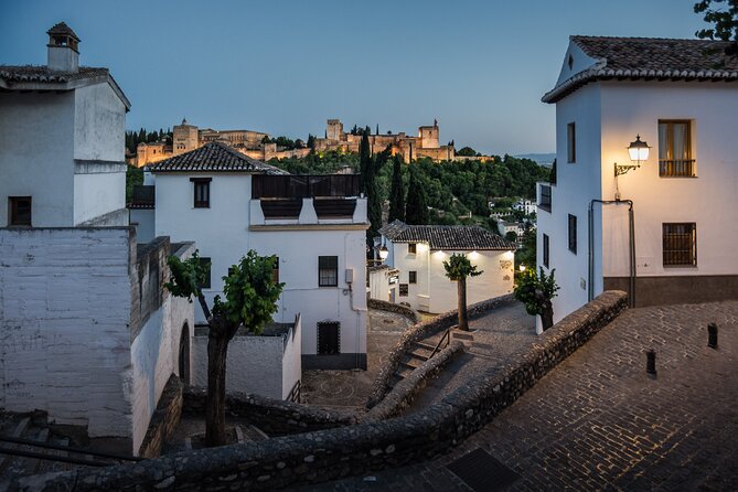 Alhambra with Nazaries Palaces Private Tour - Why a private Alhambra tour can be worth $163