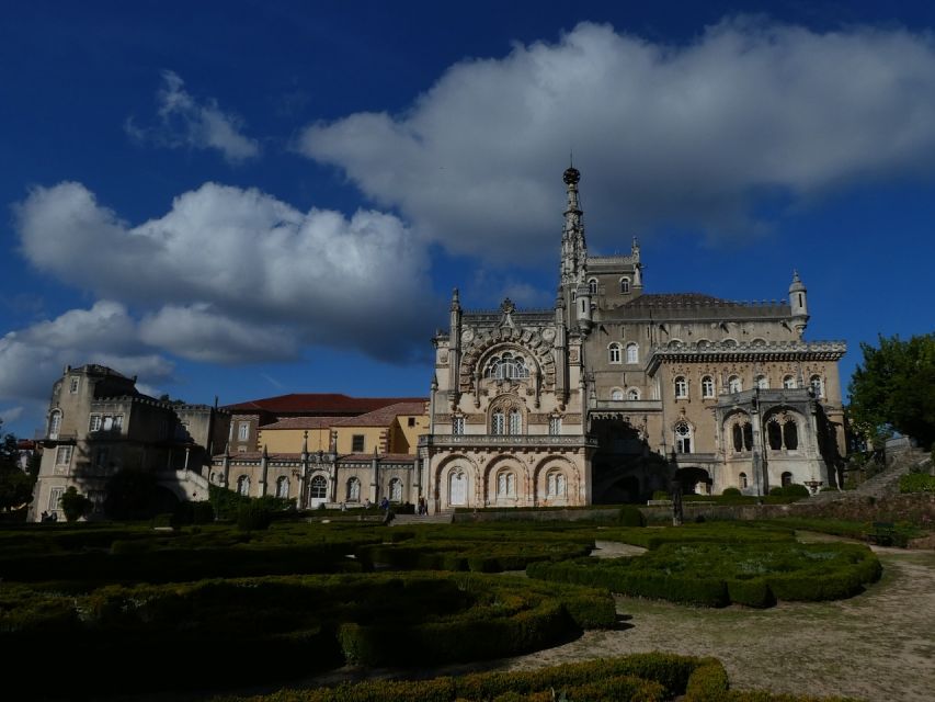 An adventure through the Forest and Palace of Bussaco - Coim - Key points to know before booking
