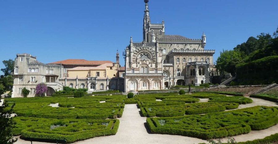 An adventure through the Forest and Palace of Bussaco - Coim - Walking through the native woodland