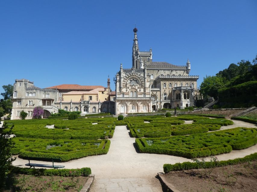An adventure through the Forest and Palace of Bussaco - Coim - What the guide adds to the four-hour route