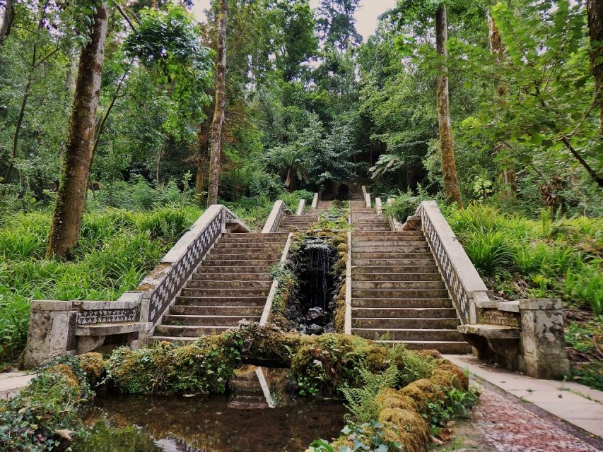 An adventure through the Forest and Palace of Bussaco - Coim - Weather, timing, and cancellation details