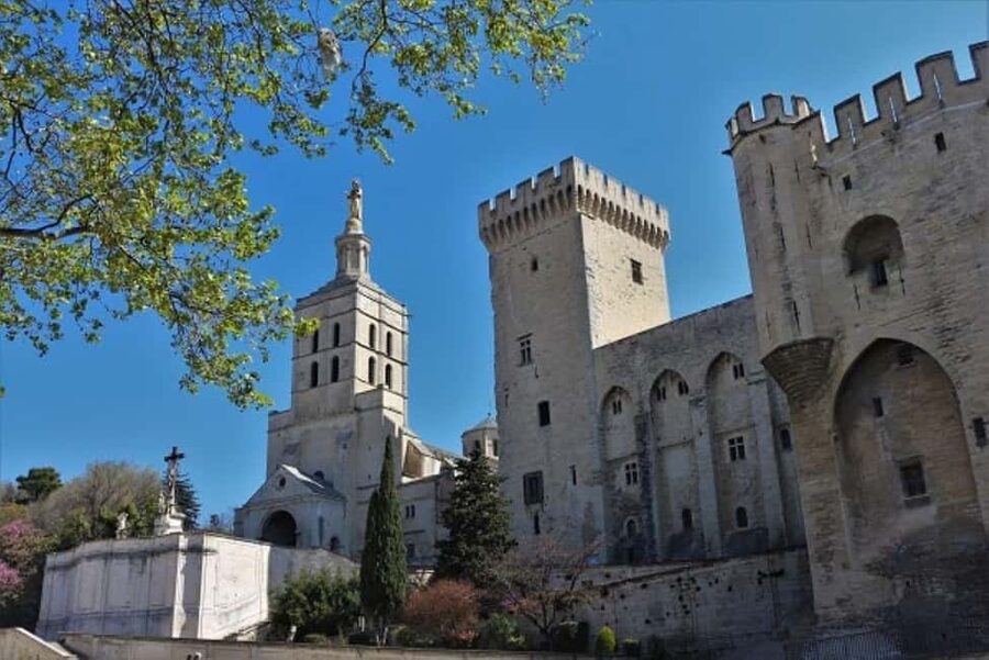 Avignon: Around The Palace Tour - Reading Avignon through its medieval walls