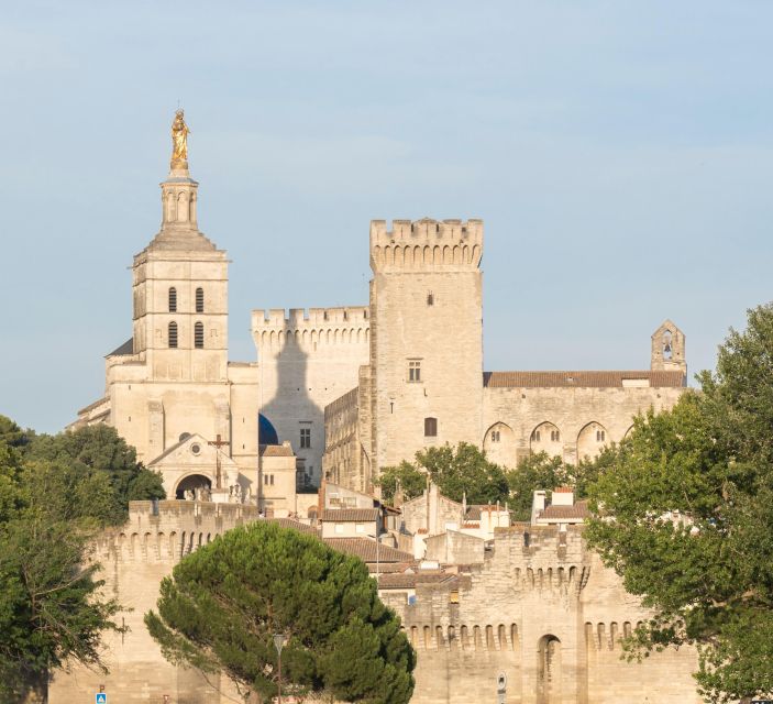 Avignon: City Walking Tour with Popes Palace Entry - What the guides add