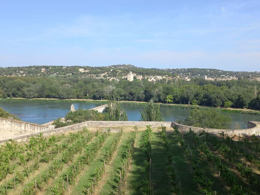 Avignon: City Walking Tour with Popes Palace Entry - Who will enjoy this tour most?