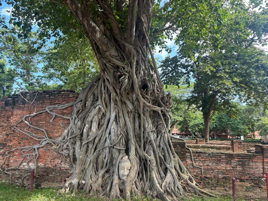 Ayutthaya Full-Day Tour with Bang Pa In (Summer Palace) - Bang Pa In Summer Palace by the Chao Phraya River