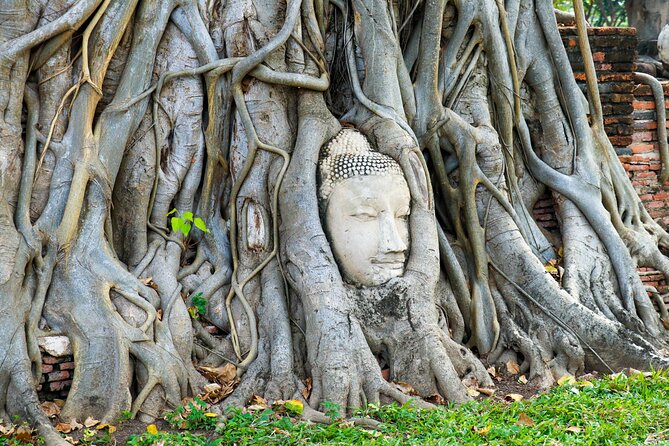 Ayutthaya Summer Palace and Temples Day Tour from Bangkok - Starting at CentralWorld at 9:00 a.m.
