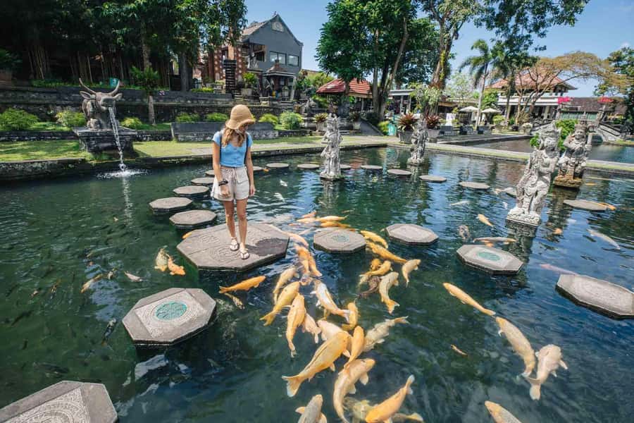 Bali: Gate Of Heaven and Water Palace Tirta Gangga Package - Why this East Bali day trip works