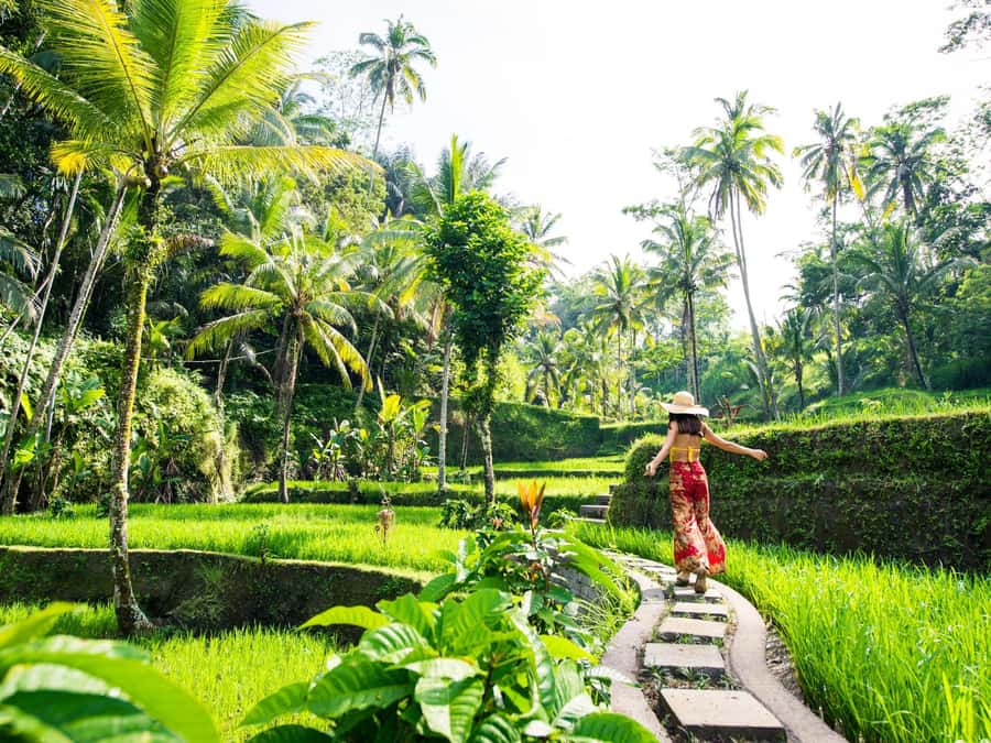 Bali: Lempuyang Temple, Water Palace, and Waterfall Tour. - Lempuyang Temple and the famous Gate of Heaven