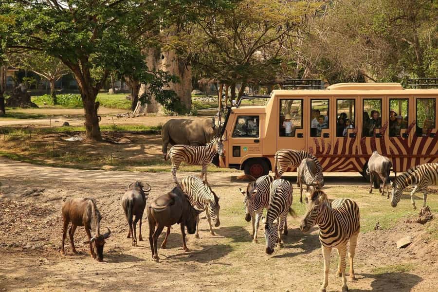 Bali: Safari Zoo and Ubud Palace and Market Day Tour - Three hours among animals at Bali Safari and Marine Park
