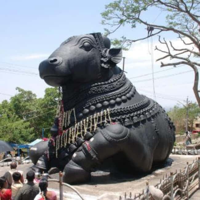Bangalore City Tour: Lalbagh, Tipu Palace & Bull Temple - KR Market: the busiest part of the day