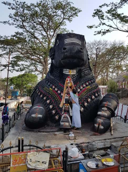 Bangalore City Tour: Walking, Palace & Temples - Key points to know before booking