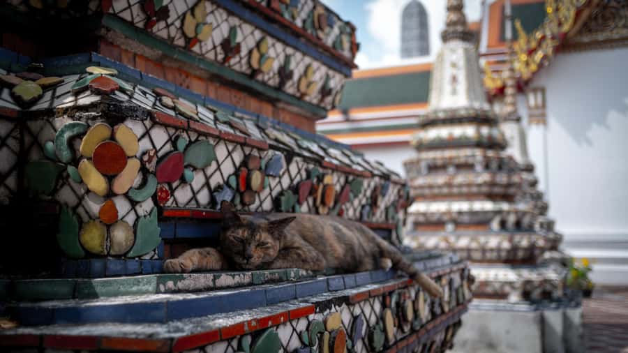 Bangkok: Grand Palace, Wat Pho and Wat Arun - Clothing, heat, and physical effort