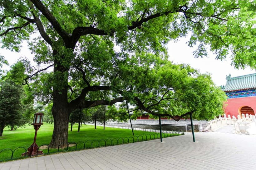 Beijing:Forbidden City Tour—Temple, Summer Palace&Great Wall - Combining the Forbidden City with Mutianyu Great Wall