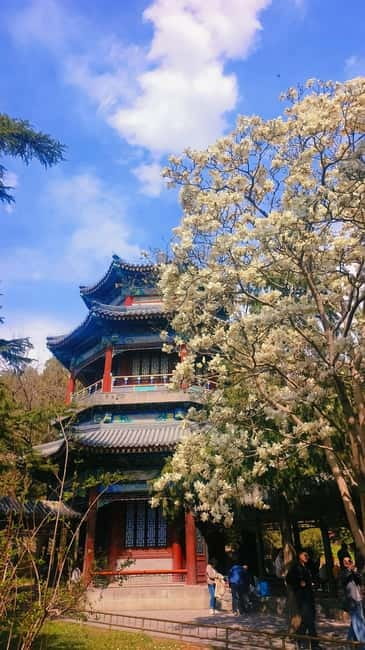 Beijing: Summer Palace Highlight Walking Tour - Four Great Regions and Buddhist symbols