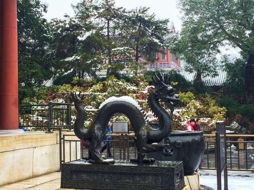 Beijing:Summer Palace Private/Group Tour or book Ticket Only - The Panda House And Olympic Stadiums Option