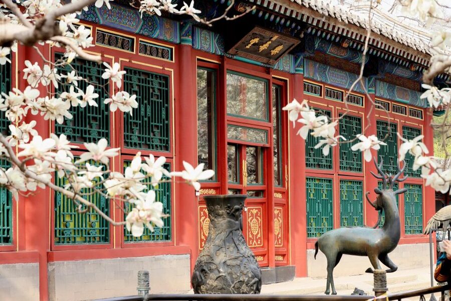 Beijing: Summer Palace, Sacred Road&Ming Tombs Private Tour - Choosing Dingling or Changling