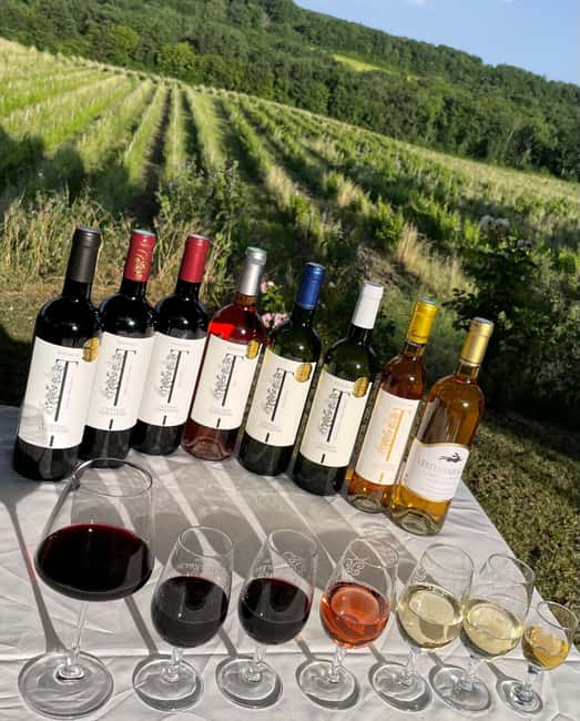 Bergerac: Wine Tasting at Chateau Lestevenie - Key points about Chateau Lestevenie