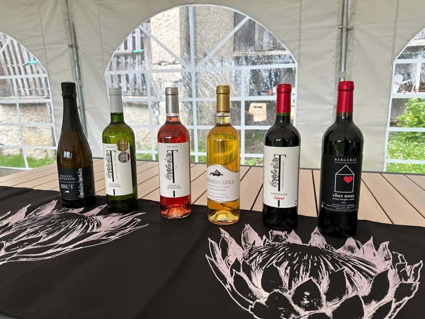 Bergerac: Wine Tasting at Chateau Lestevenie - The first two hours: what the visit includes
