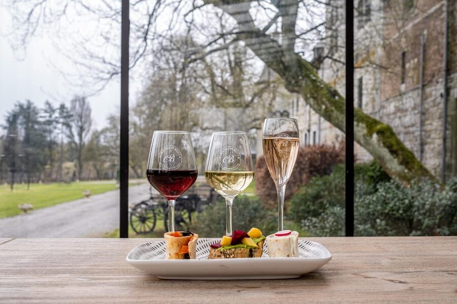 Bioul (near Dinant) : Château de Bioul Tour and Wine Tasting - Who will enjoy this visit most