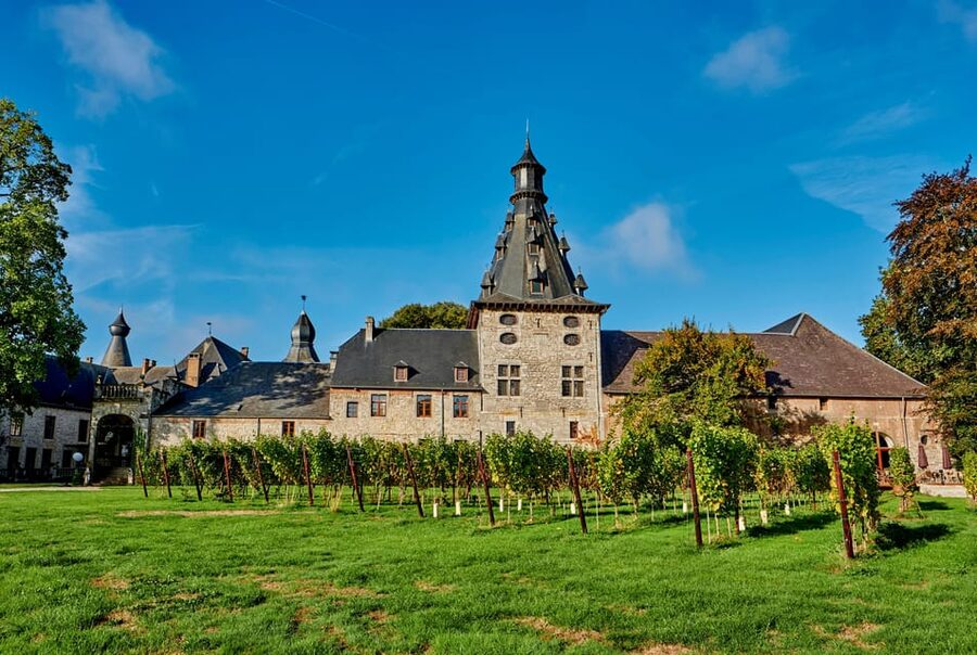 Bioul (near Dinant) : Château de Bioul Tour and Wine Tasting - A château shaped by centuries of family life