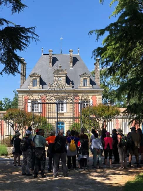 Bordeaux: Château Saint Ahon classic tour - Walking through the vineyard