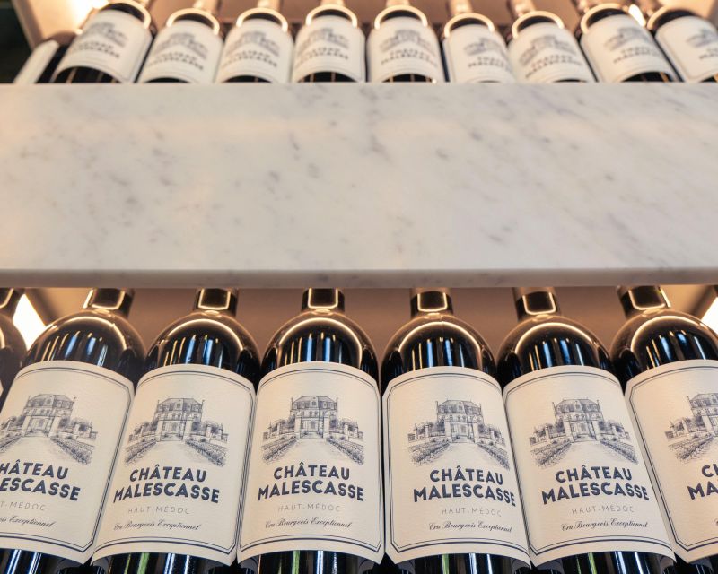 Bordeaux: Médoc & St-Emilion Wine 3 châteaux with lunch - The van, group size, and pace