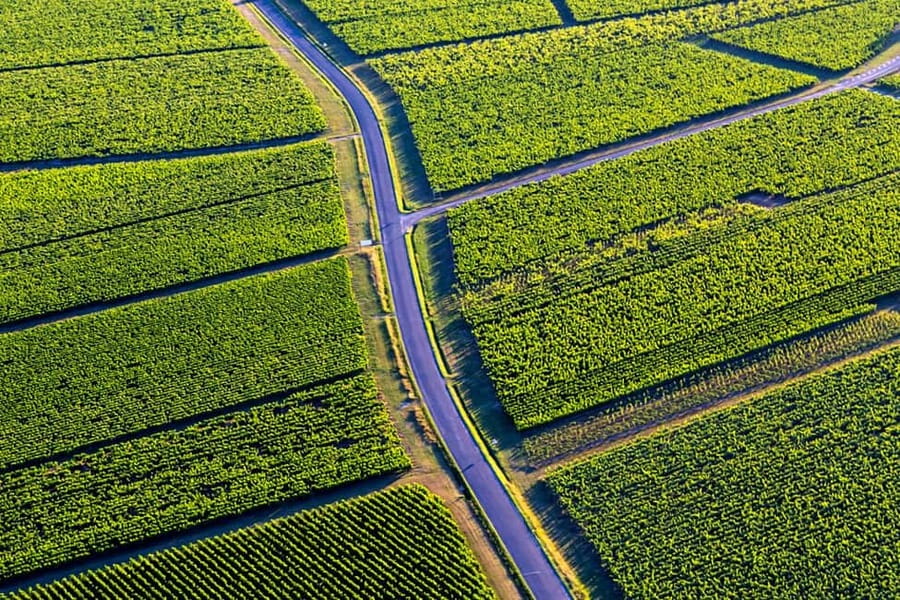 Bordeaux: Panoramic flight over vineyards and châteaux - Who should book this flight?