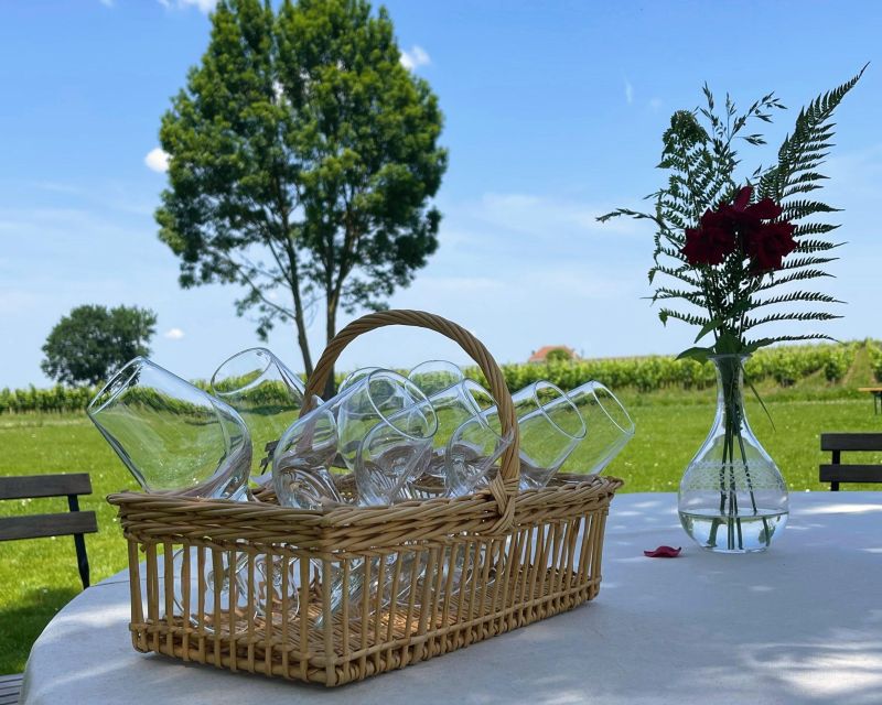 Bordeaux: Saint-Emilion Village Day Trip, 2 Chateaux & Lunch - Saint-Émilion, where town and vineyard meet