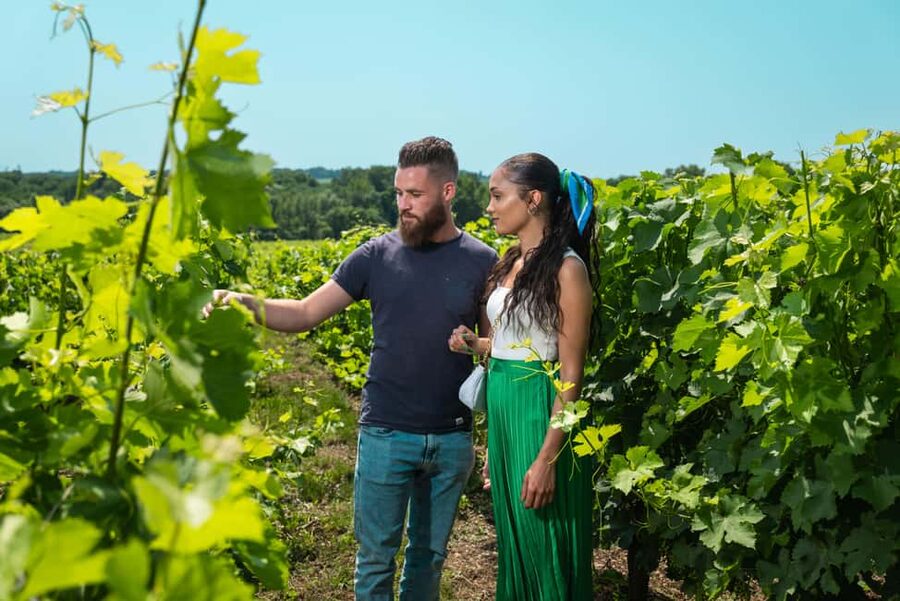 Bordeaux: Visit to Château de Reignac and prestige tasting - What $29 buys you
