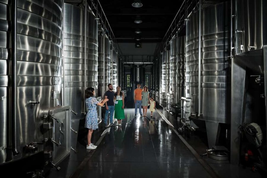 Bordeaux: Visit to Château de Reignac and prestige tasting - Practical planning for your day