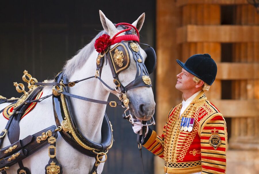Buckingham Palace: The Royal Mews Entrance Ticket - The grand coaches, from working transport to coronation symbols