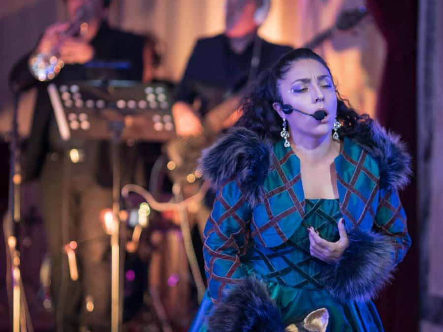 Buenos Aires: Gala Lírica Tickets at Palacio Paz. - How much value do you get for $45?