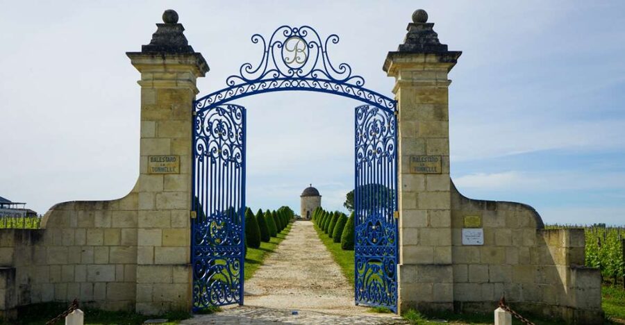 Château Balestard La Tonnelle : The "Origins" tour - The limestone plateau and the family story