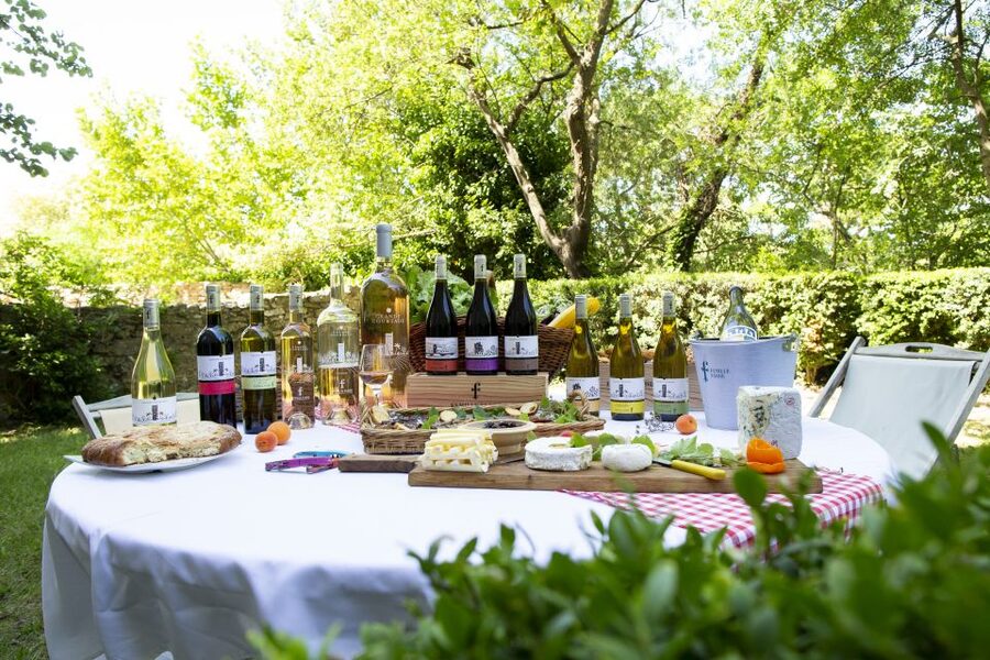 Château de Luc: Unique visit and wine tasting - Key points before you book