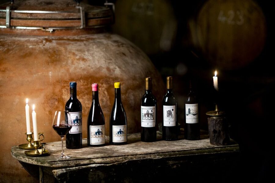 Château de Luc: Unique visit and wine tasting - Going below ground to the 14th-century cellar