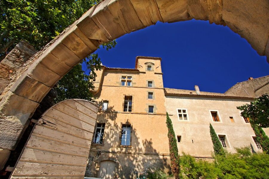 Château de Luc: Unique visit and wine tasting - The epic of the Midi wine region
