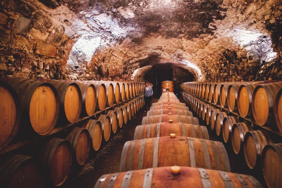 Château de Luc: Unique visit and wine tasting - Tasting organic wines in the former stable