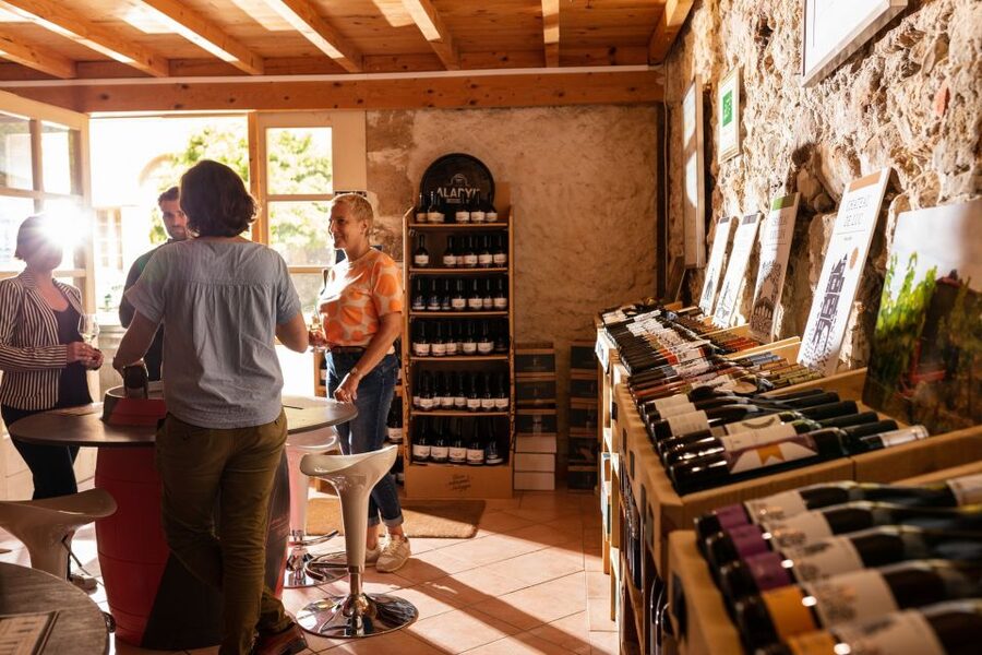 Château de Luc: Unique visit and wine tasting - Languages, group feel, and the guide