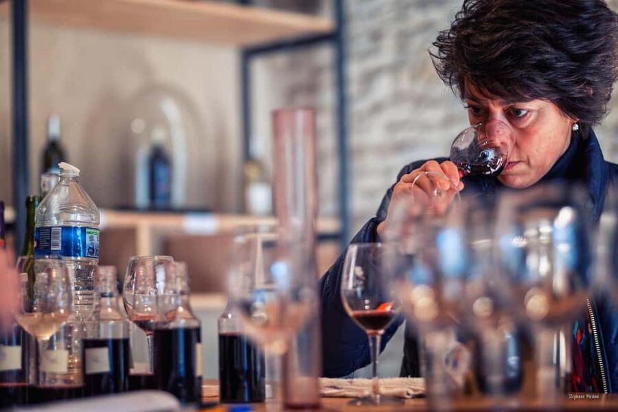 Château de Terride: tour of the wine cellar & wine tasting - Key points at a glance