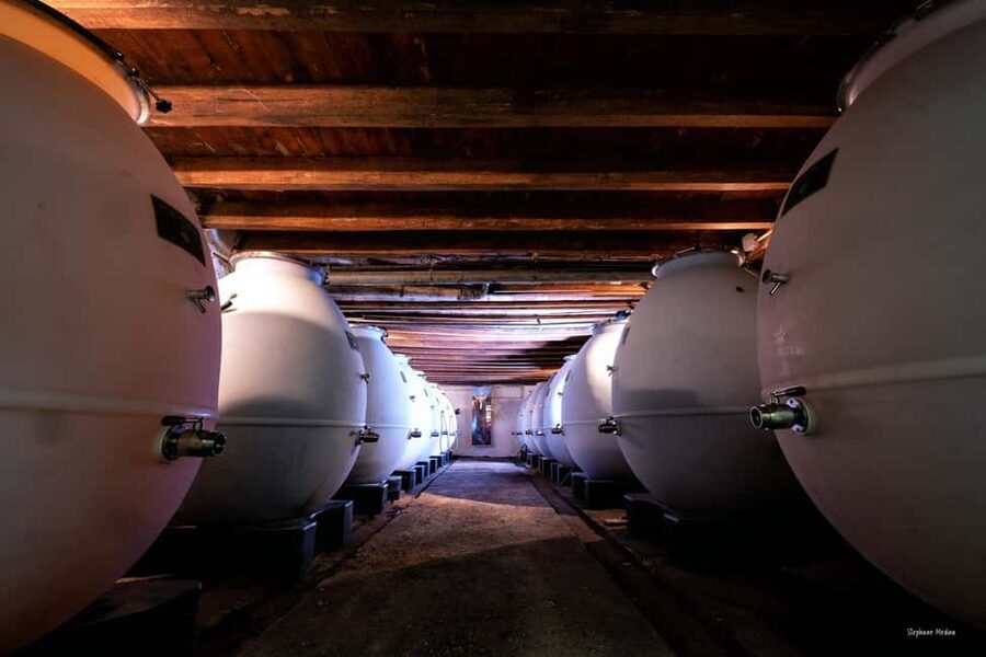Château de Terride: tour of the wine cellar & wine tasting - A family winery near Puycelsi