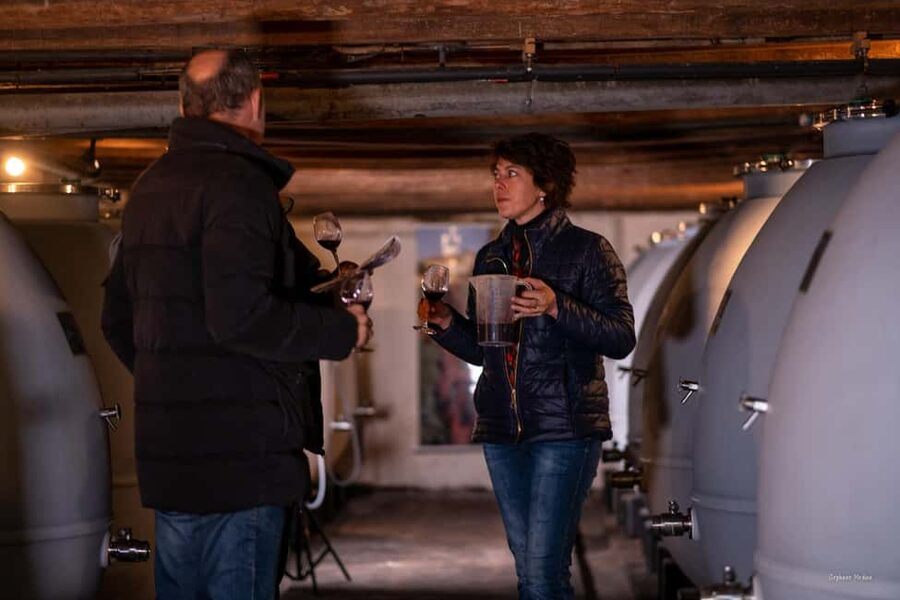 Château de Terride: tour of the wine cellar & wine tasting - Meeting Alix or Romain