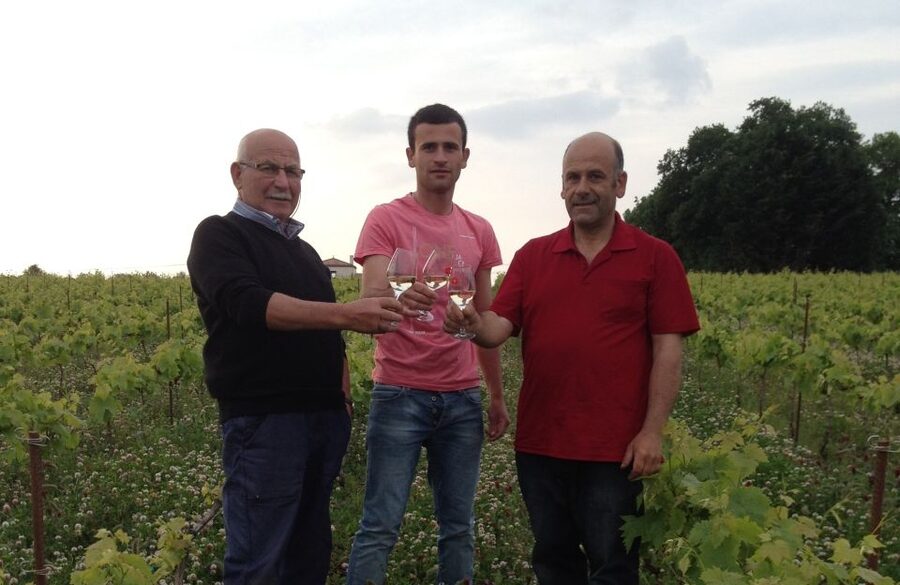 Château du Bois-Huaut: Cellar Tour and Wine Tasting Class - Key points at a glance