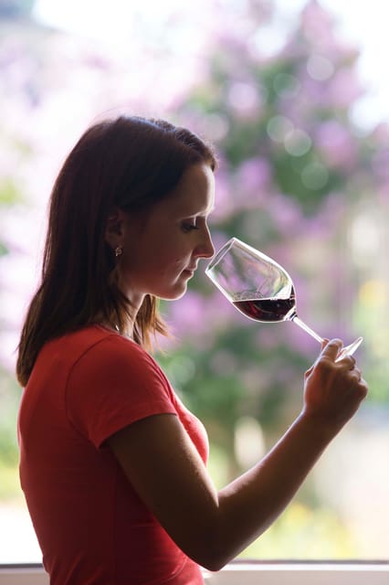 Château Olivier: One Hour Vineyard Tour with Wine Tasting - Key points to know before you go