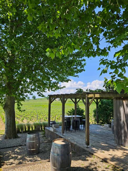Château Petit Mangot's aperitif: charcuterie, cheeses, and wines - Meeting the Décamps family vineyard