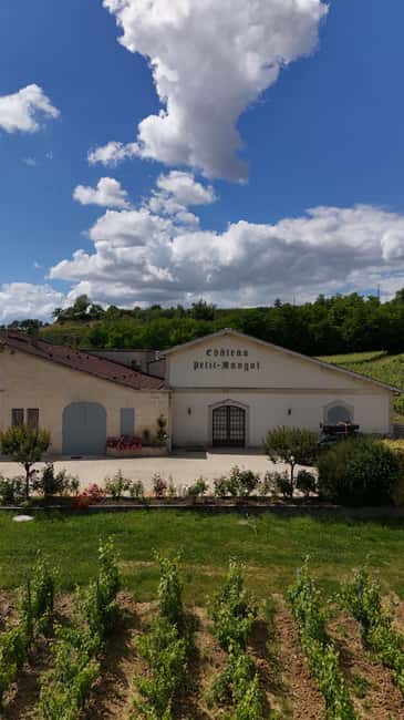 Château Petit Mangot's aperitif: charcuterie, cheeses, and wines - What the private format changes