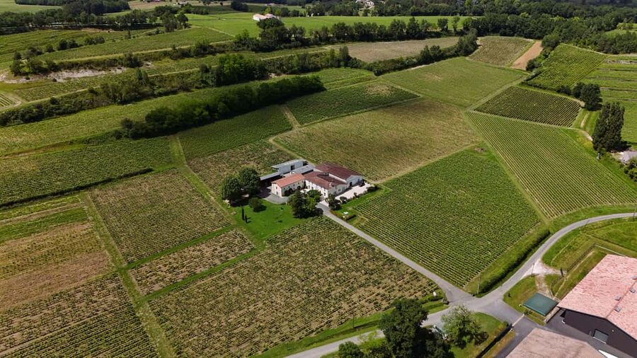 Château Petit Mangot's aperitif: charcuterie, cheeses, and wines - From vineyard rows to the cellar