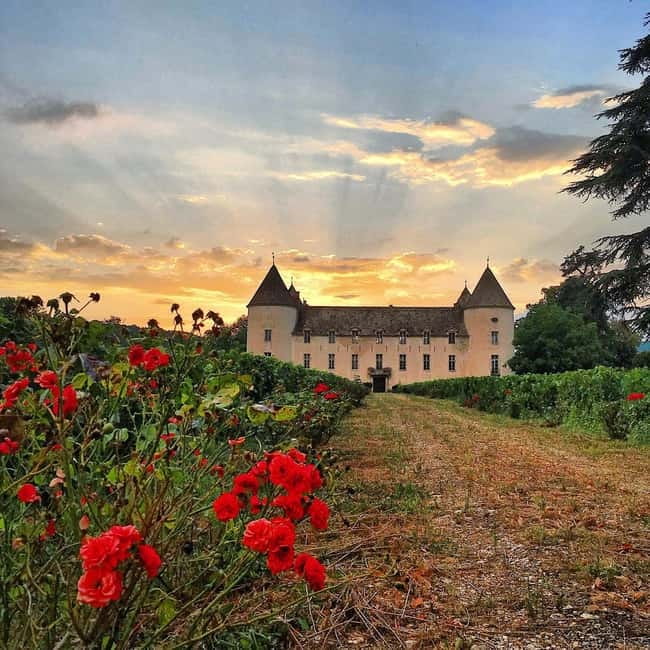Check out the Château de Savigny museums: planes, cars, motorcycles... - The Petit-Château and Burgundy wine